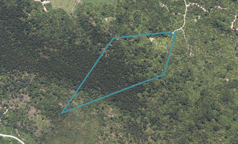44 Mokihinui Preserve, Seddonville, Westport - Carousel 1