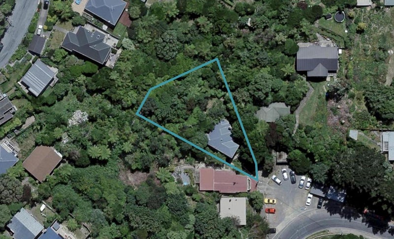 49 Balfour Street, Mornington, Wellington - Carousel 1