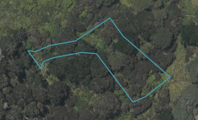 4 Sand Dune Lane, Mangawhai Heads, Mangawhai - Carousel 1