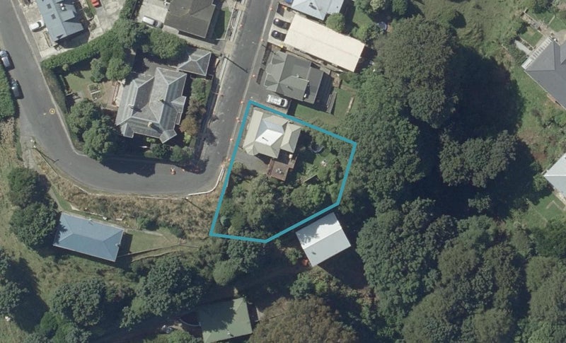 29 Peel Street, Mornington, Dunedin - Carousel 1