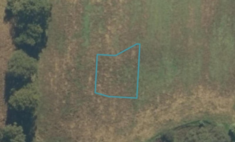 47 Acacia Avenue, Kihikihi, Te Awamutu - Carousel 1