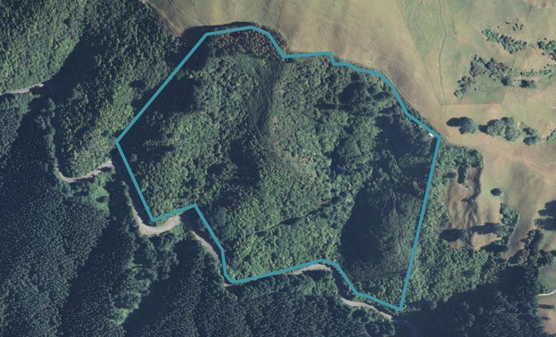 0 Takaka Hill Highway - Carousel 1