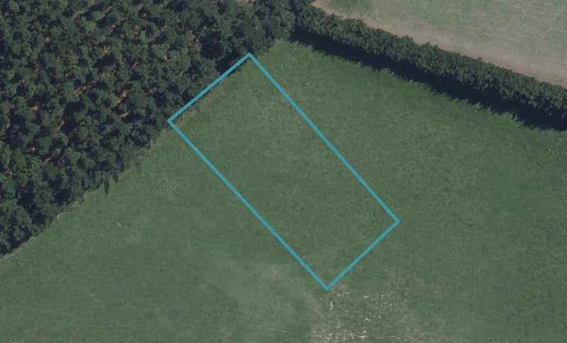 3 Plover Avenue, Amberley, Amberley - Carousel 1