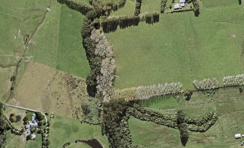 133 Whiteywood Street, WESTGATE, AUCKLAND - Carousel 1