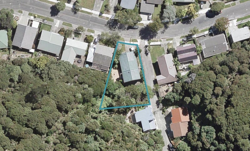 45 Cleary Street, Waterloo, Lower Hutt - Carousel 1