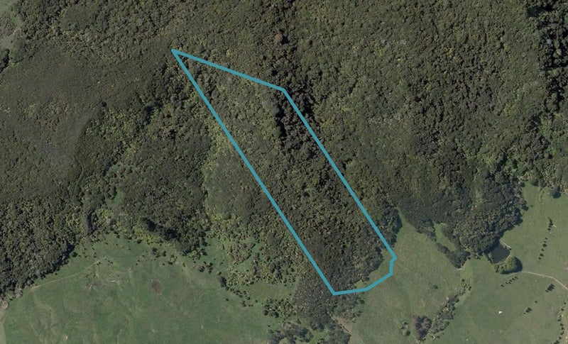 0 State Highway 12, Waimamaku, Kaikohe - Carousel 1