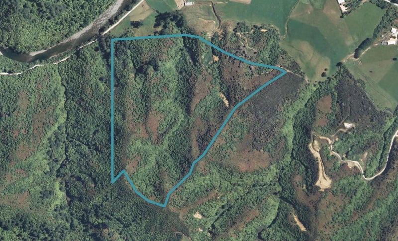 303 Mccallum Road, Tākaka - Carousel 1