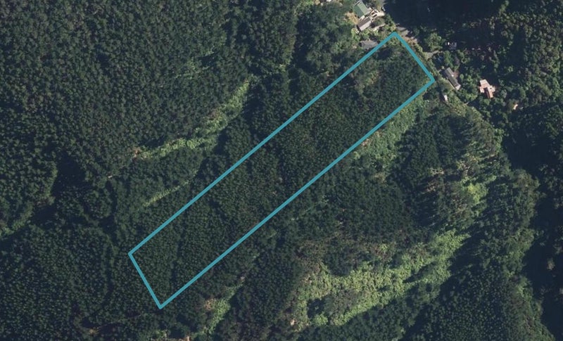 84 Elmslie Road, PINEHAVEN, UPPER HUTT - Carousel 1