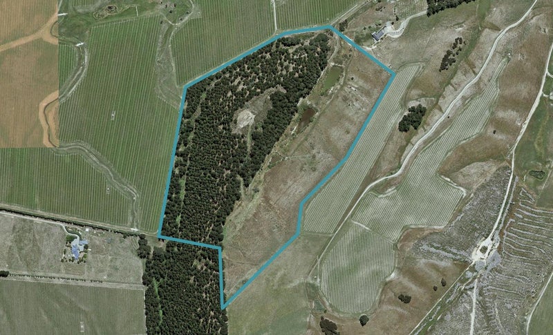 669 State Highway 63, Renwick, Blenheim - Carousel 1