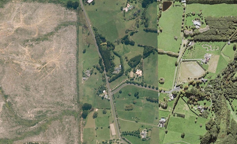 178 Mill Flat Road, Albany - Carousel 1