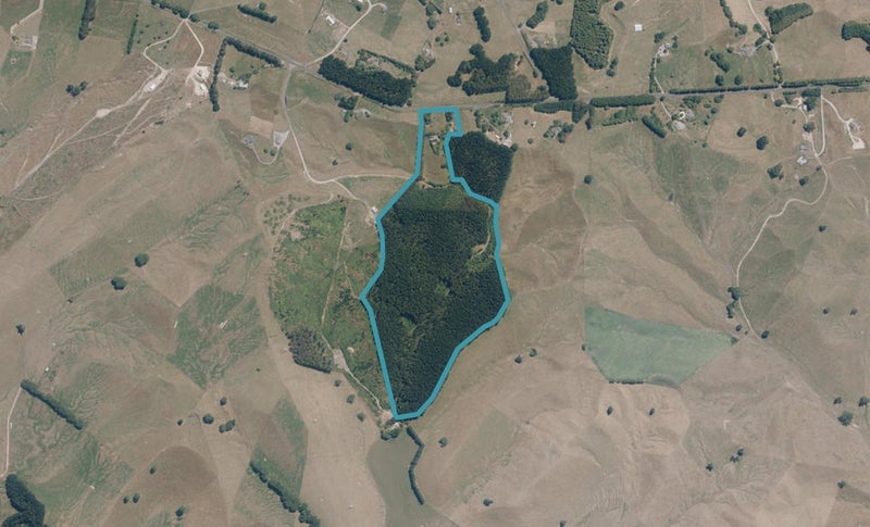 435 Palmer Mill Road, Wairakei, Taupō - Carousel 1