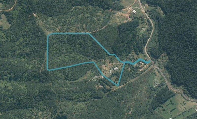 153B Cogswell Road, Raglan - Carousel 1