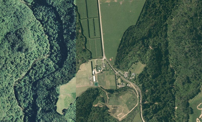 740 Belk Road, Omanawa, Tauranga - Carousel 1