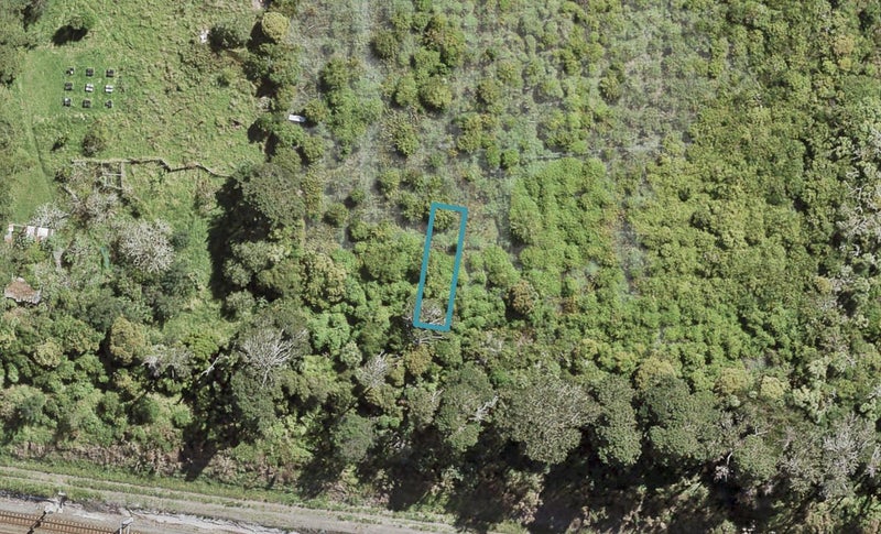 9 Te Uru Huarakau Lane, SWANSON - Carousel 1