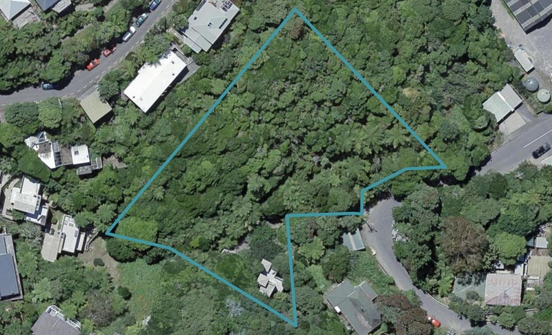 2 Mount Pleasant Road, Aro Valley, Wellington - Carousel 1