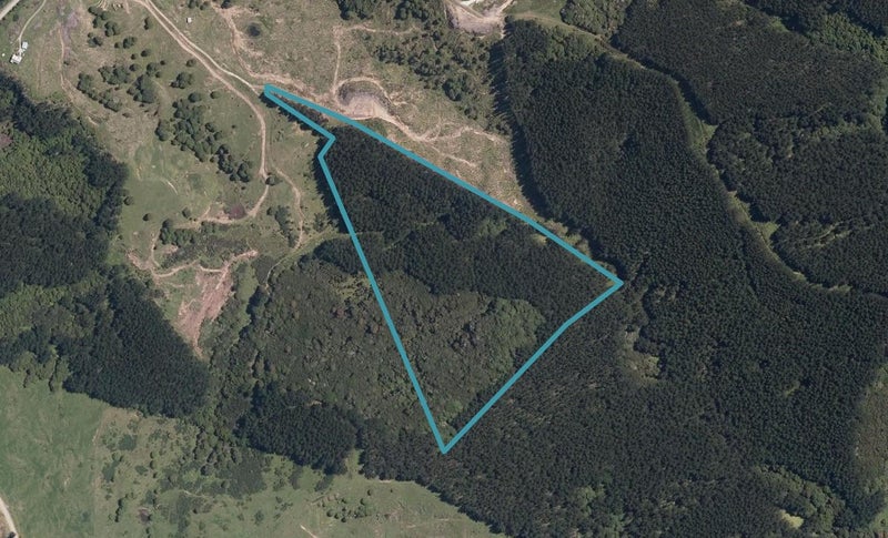 609B Bickerstaffe Road, Maungaturoto - Carousel 1
