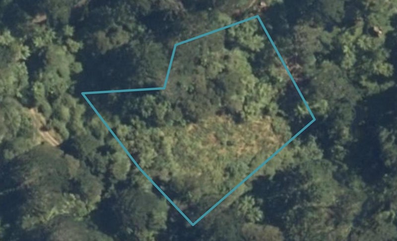 0 Crown Hill Road, Kaimai Mamaku Conservation Park, PAEROA - Carousel 1