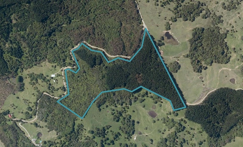 635 Te Tio Road, Umawera, Ōkaihau - Carousel 1
