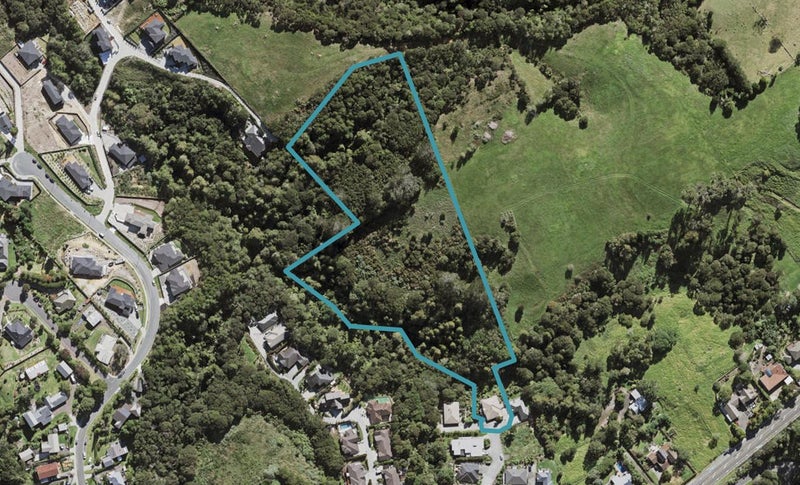 19 Viridian Lane, Greenhithe, Auckland - Carousel 1