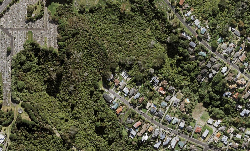 2D Hoskins Avenue, Hillsborough, Auckland - Carousel 1