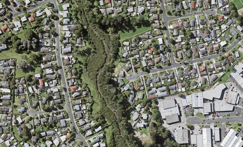 65 Reelick Avenue, Pakuranga Heights, Auckland - Carousel 1