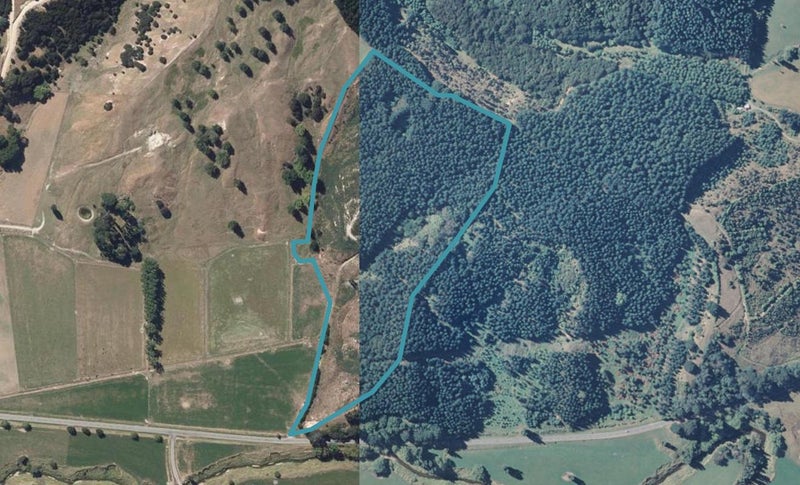 0 Castlepoint Rd, Tinui - Carousel 1