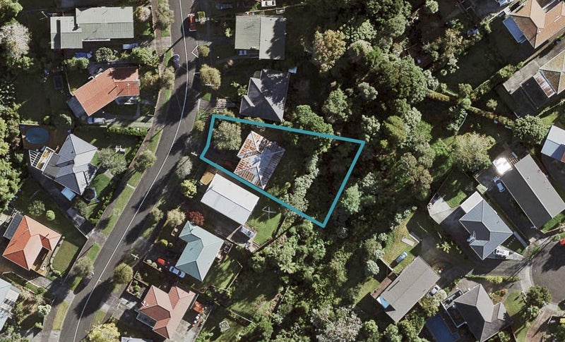 20 Laburnum Road, New Windsor, Auckland - Carousel 1