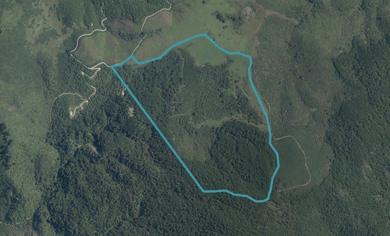 602 Bird Road, Clifton, Tākaka - Carousel 1