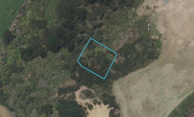 4 Northcoast Place, Mangawhai Heads, Mangawhai - Carousel 1