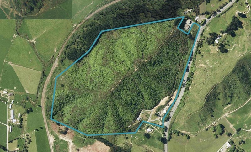 432 Koromiko, MOUNT PLEASANT, BLENHEIM - Carousel 1