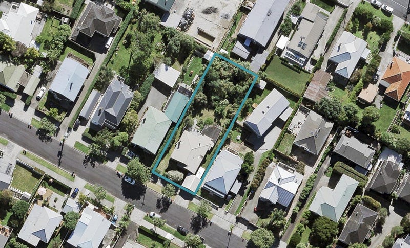 55 Springfield Road, Morningside, Auckland - Carousel 1