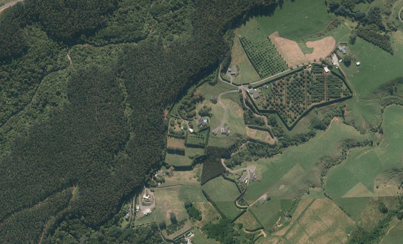 357 Thompsons Track, Aongatete, Katikati - Carousel 1