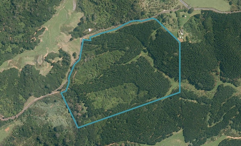 79 Boiler Gully Road, Manukau Heads, Āwhitu - Carousel 1