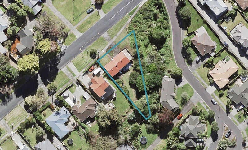 100 Seabrook Avenue, New Lynn, Auckland - Carousel 1