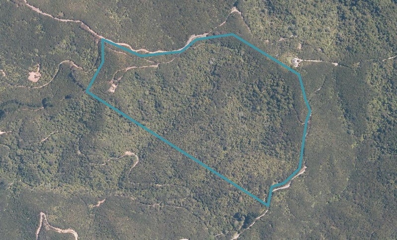 299 Waiaua Road, Hihi, Mangōnui - Carousel 1