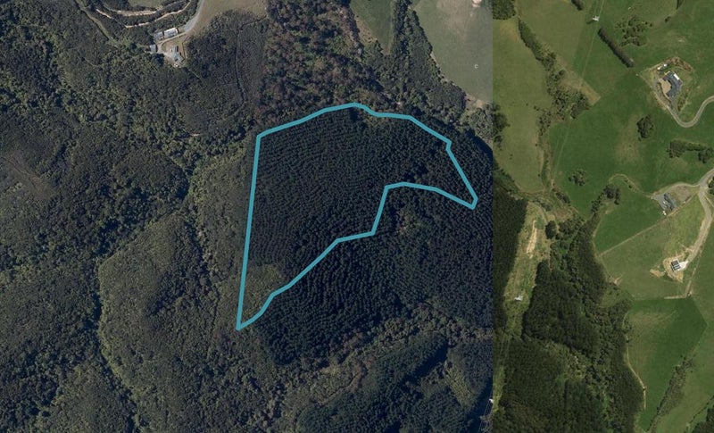 233 Sandford Road, Whangarei - Carousel 1