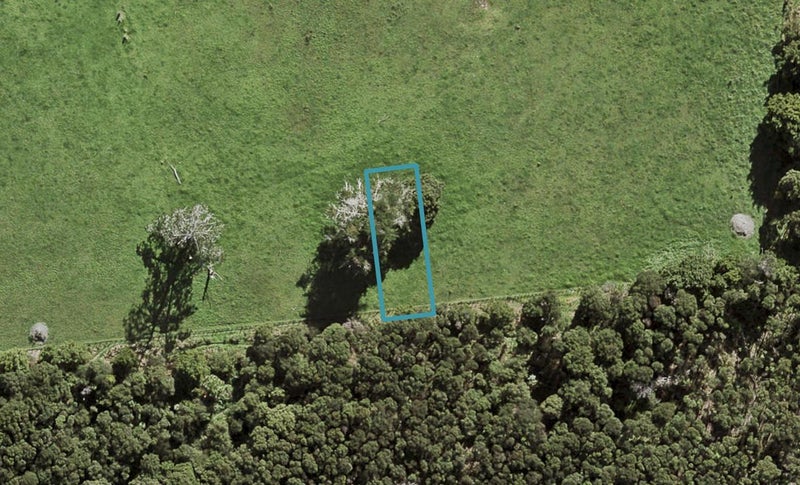 56 Te Aniwaniwa Terrace, Albany, Auckland - Carousel 1