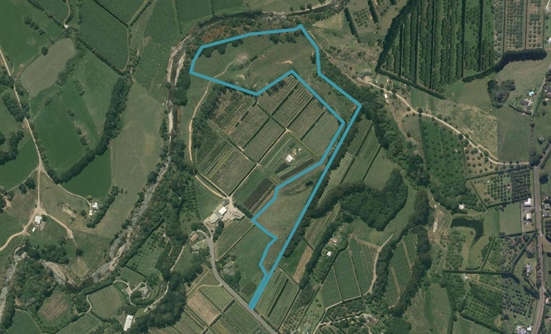 0 Pine Ridge Lane, Aongatete, Aongatete - Carousel 1