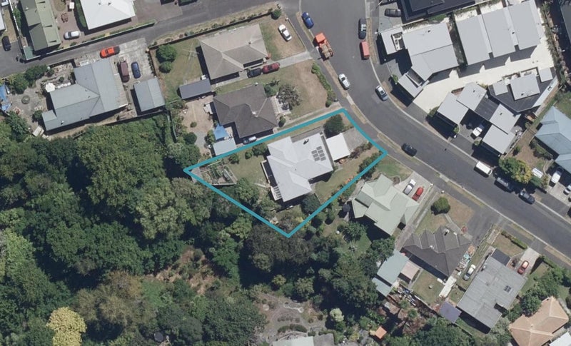 13 Kelvin Place, Hamilton East, Hamilton - Carousel 1