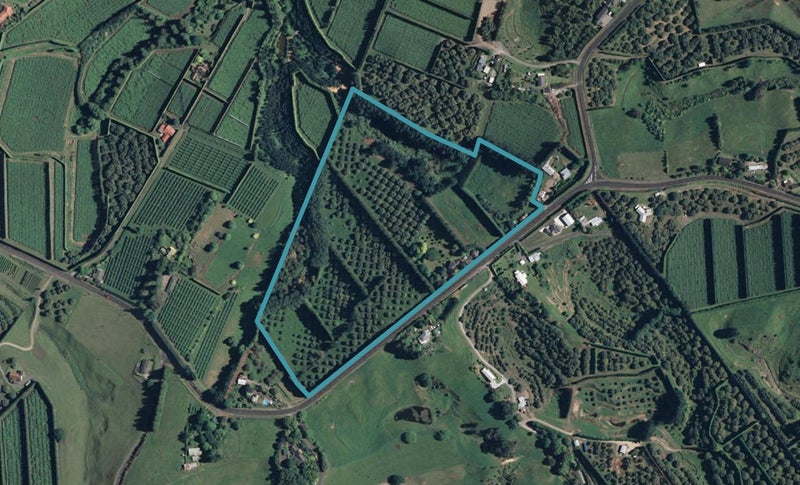 245 Kauri Point Road, Tahawai, Katikati - Carousel 1