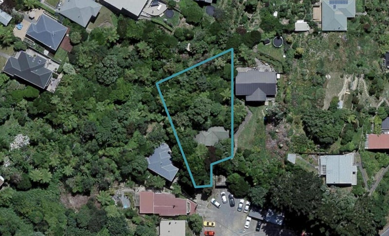 51 Balfour Street, Mornington, Wellington - Carousel 1