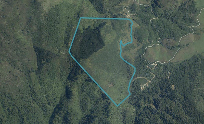 440 Bird Road, Motupipi - Carousel 1