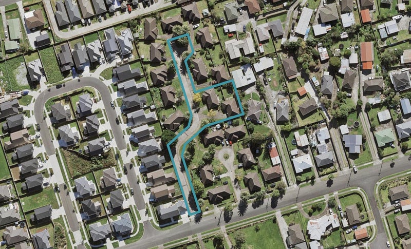 138A Hall Avenue, Favona, Auckland - Carousel 1