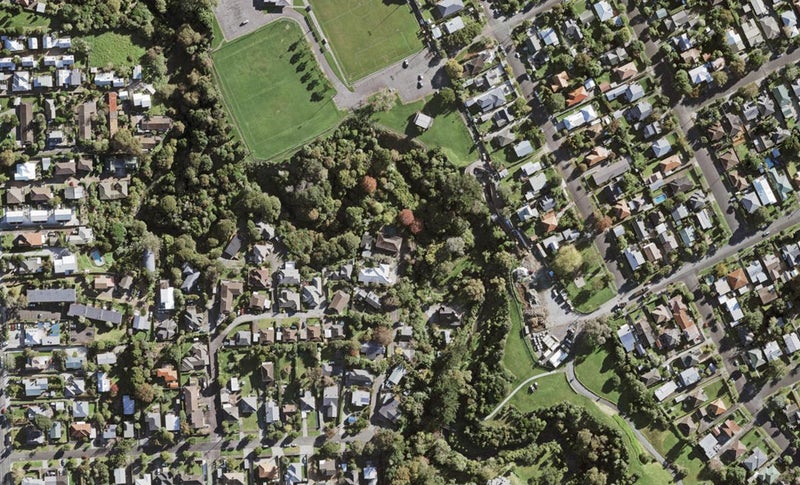 36 Cradock Street, Avondale, Auckland - Carousel 1