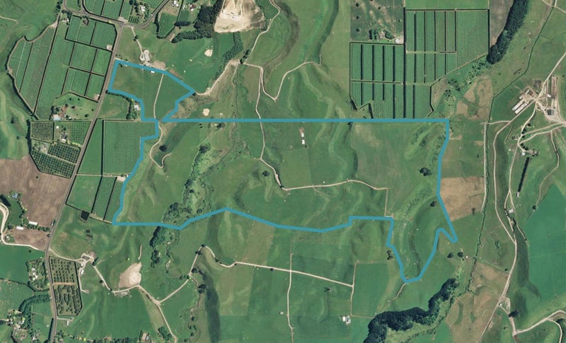 393 Maniatutu Road, Pongakawa, Te Puke - Carousel 1