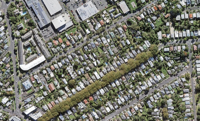 58C Sackville Street, Grey Lynn, Auckland - Carousel 1