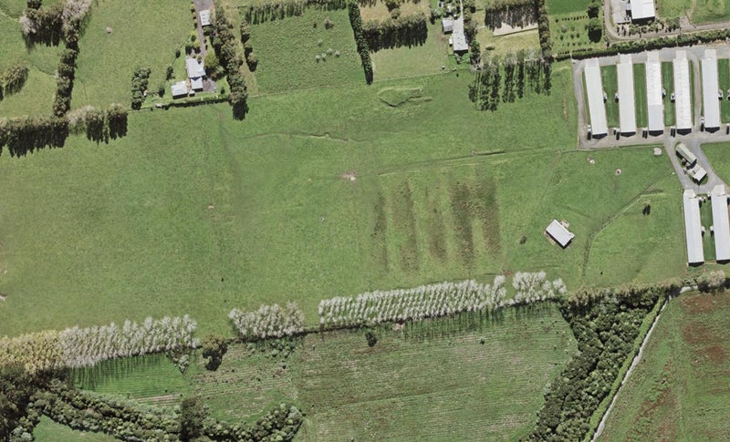 10 Toetoe Street, Westgate, Auckland - Carousel 1