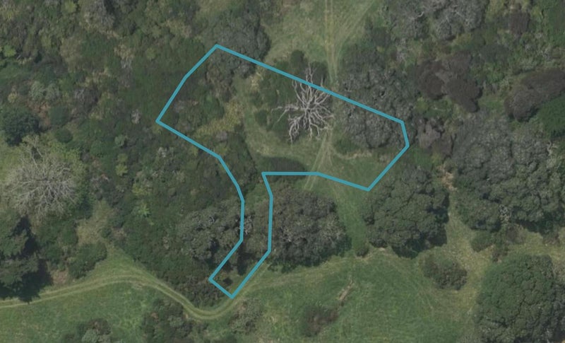 148 Estuary Drive, Mangawhai Heads, Mangawhai - Carousel 1