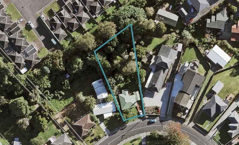 17 Boyce Avenue, Mount Roskill, Auckland - Carousel 1