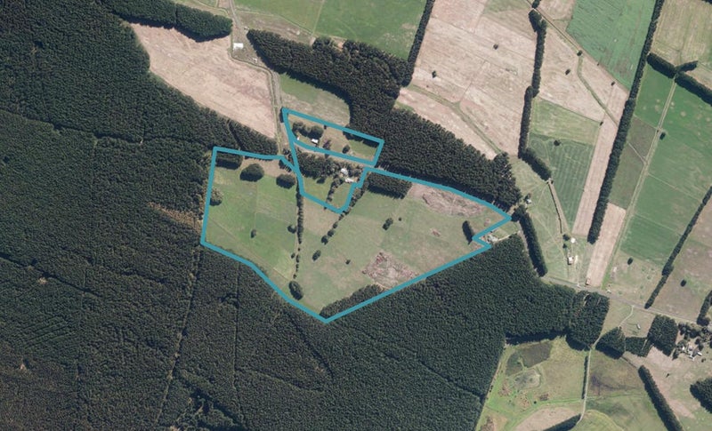 405 Forest Road, Parewanui, Tangimoana - Carousel 1